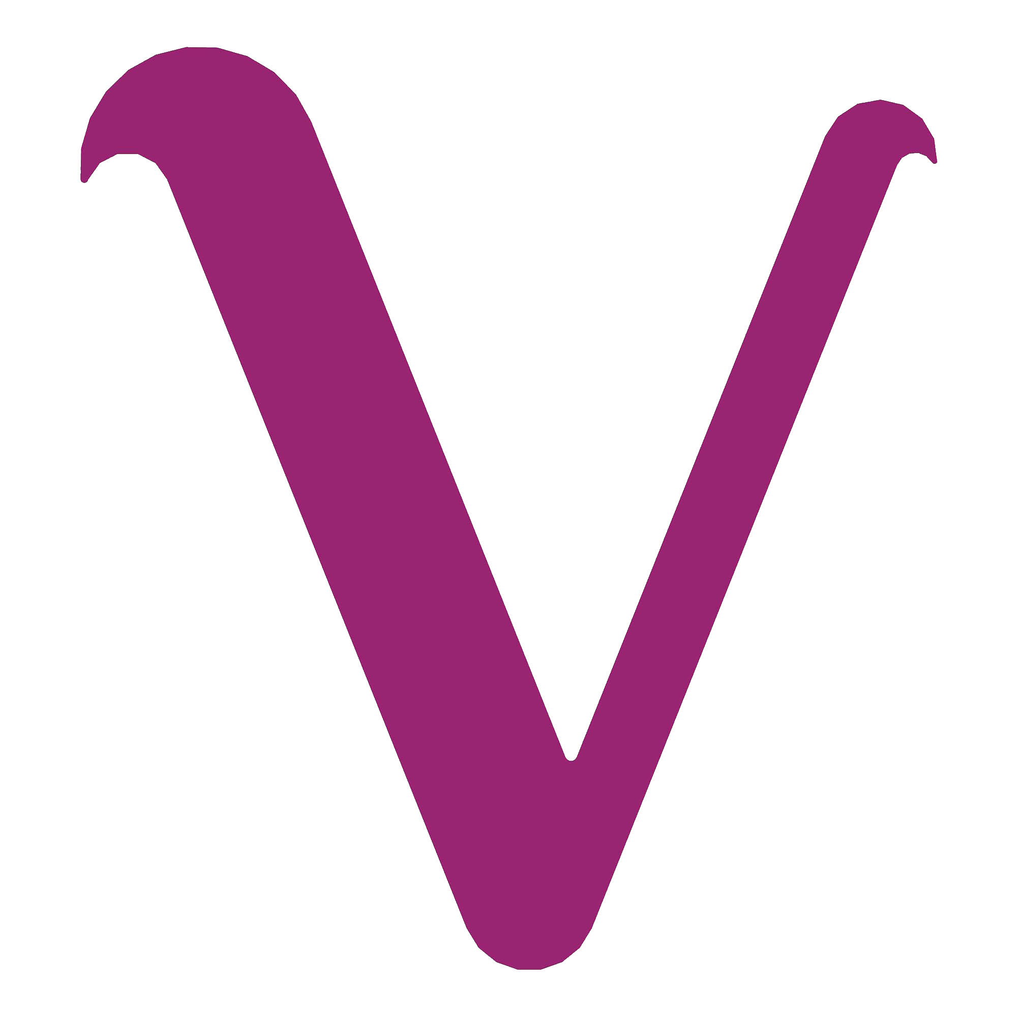 VIBeS e.V.